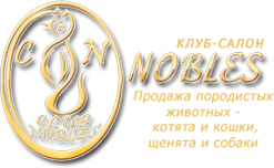 Club Nobles